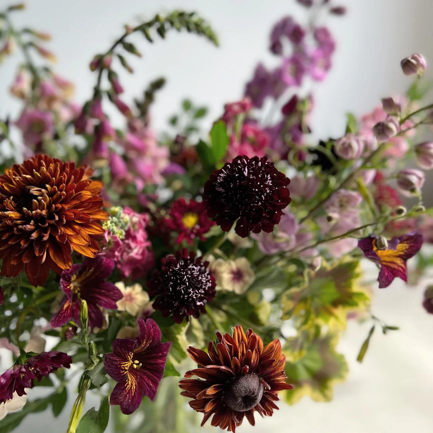 Bouquet of flowers with a focus on dark red and purple hues.