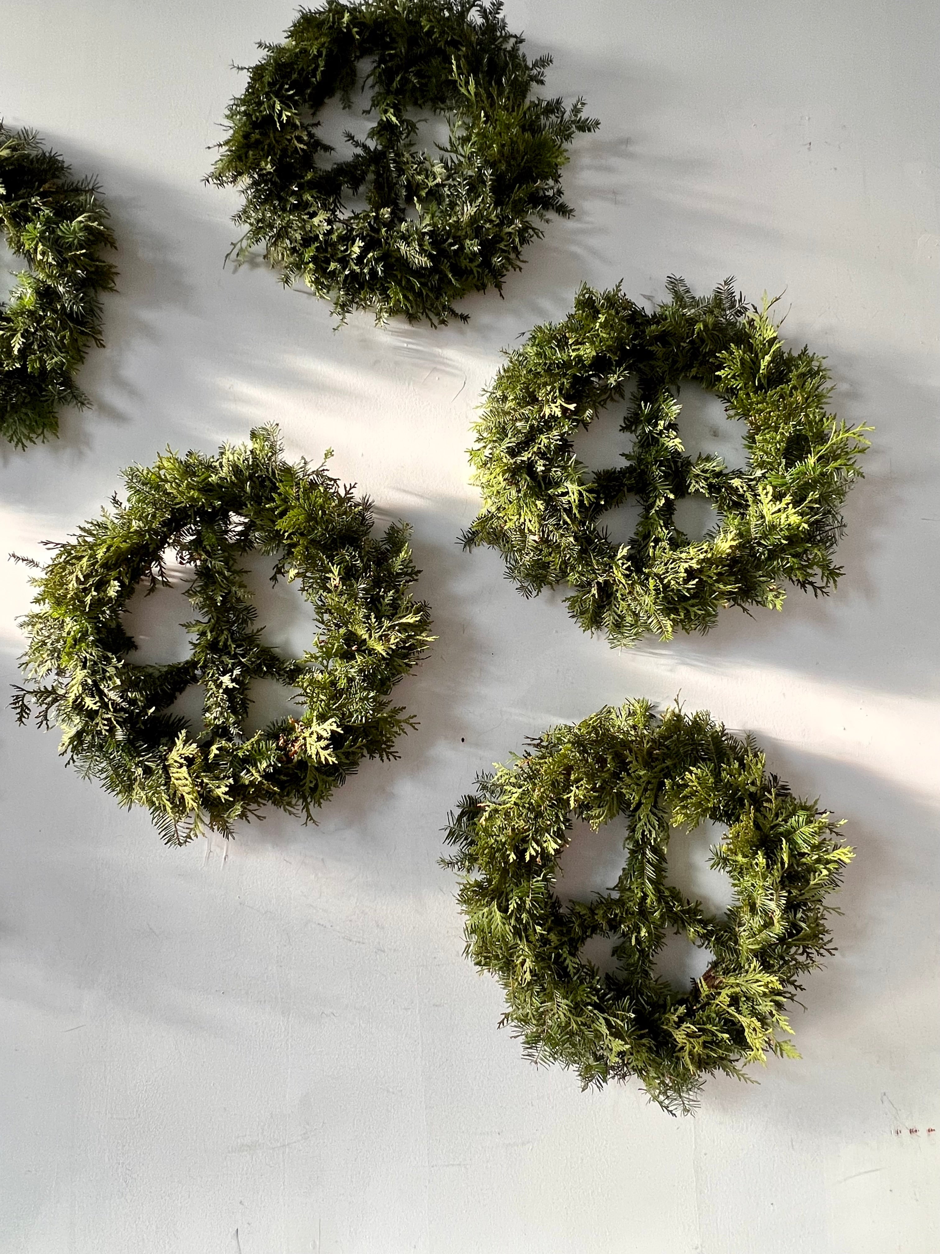 Set of five peace sign shaped green wreaths on a white background