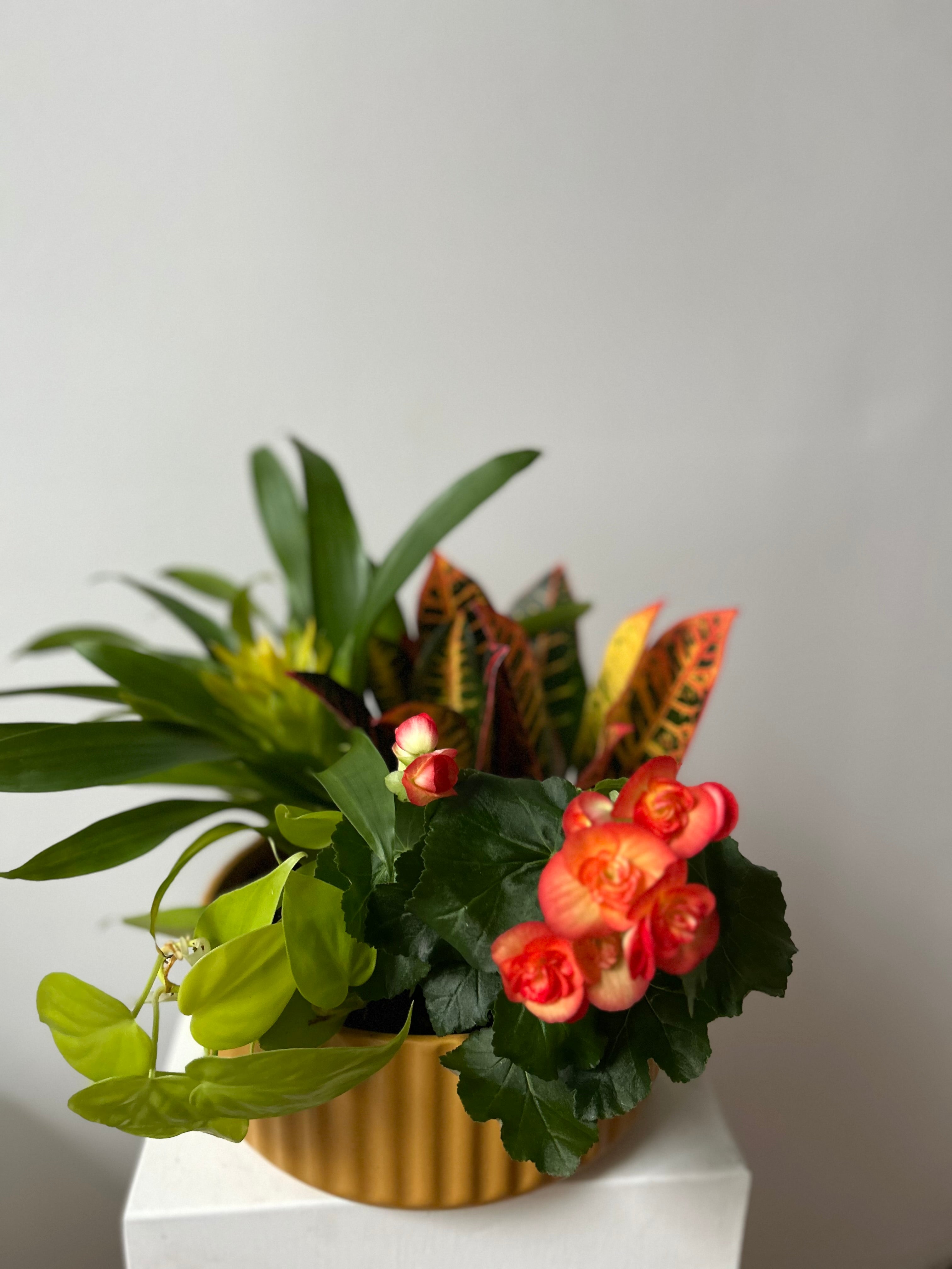 Bouquet of flowers in a gold pot on a white surface with a light gray background