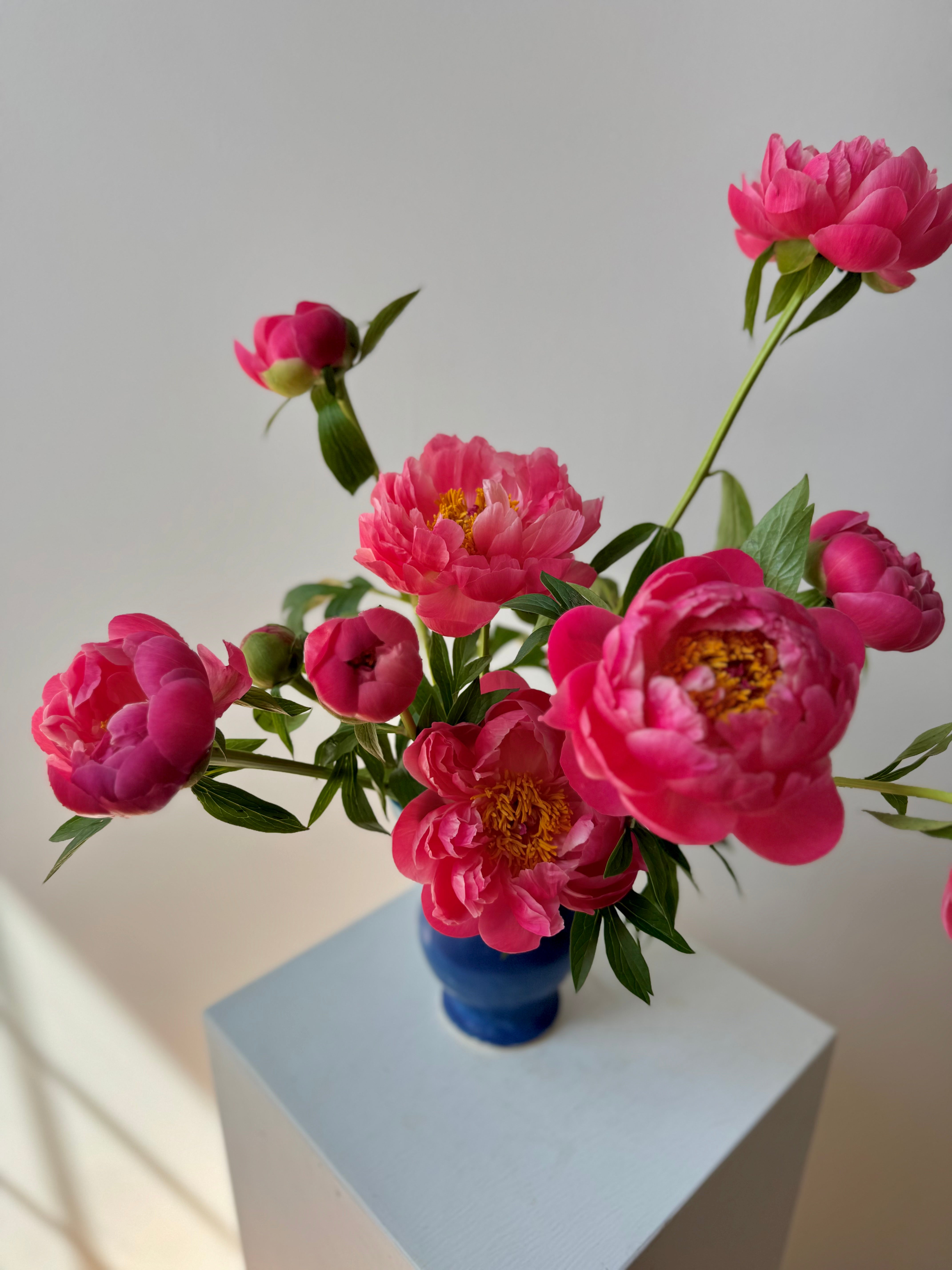 Mother's Day Peonies · ANK Ceramics Stoneware Vase · Portland Delivery
