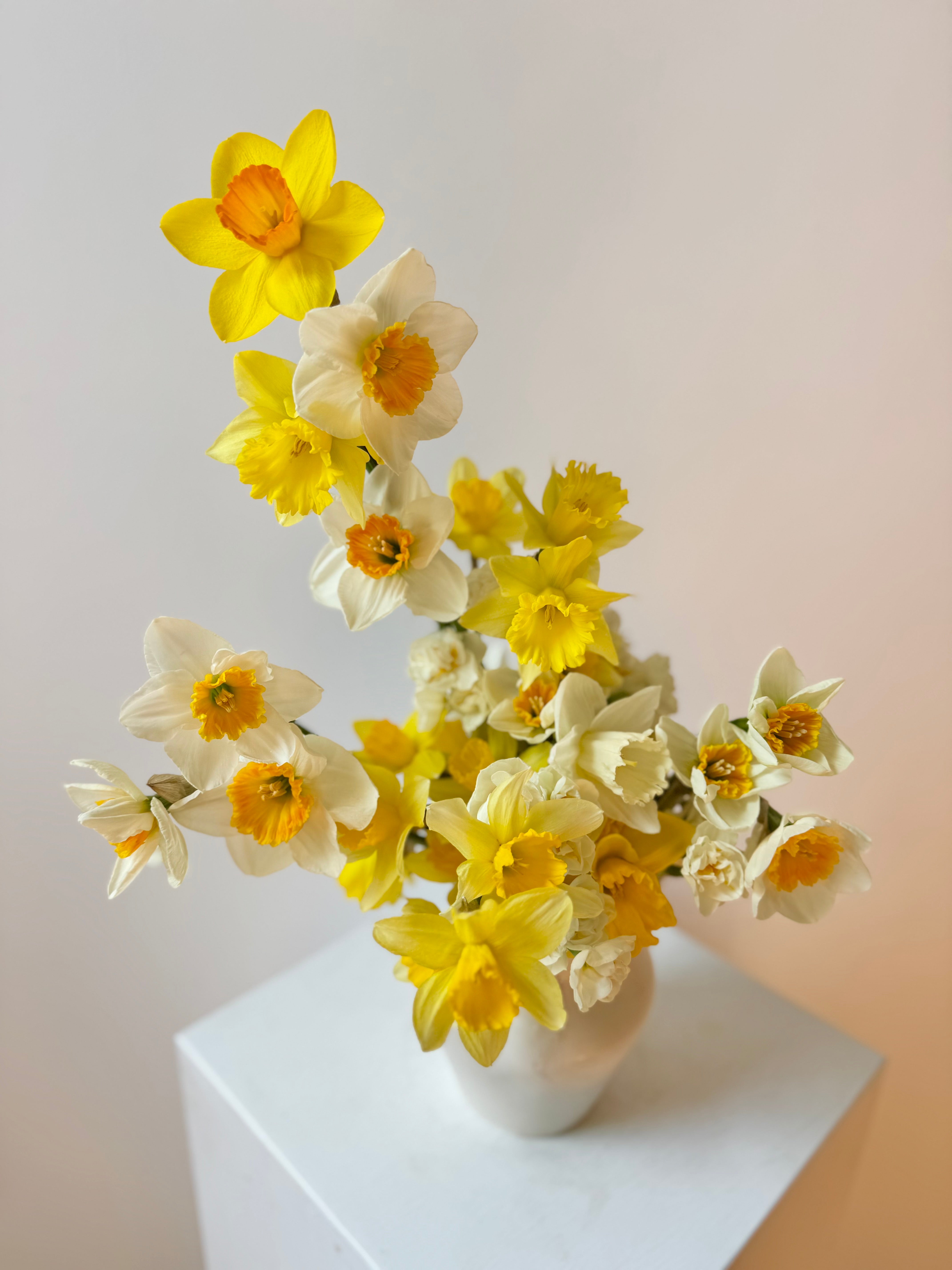 Mother's Day Daffodil Cloud Arrangement · Handmade Cee + She Ceramic Vase