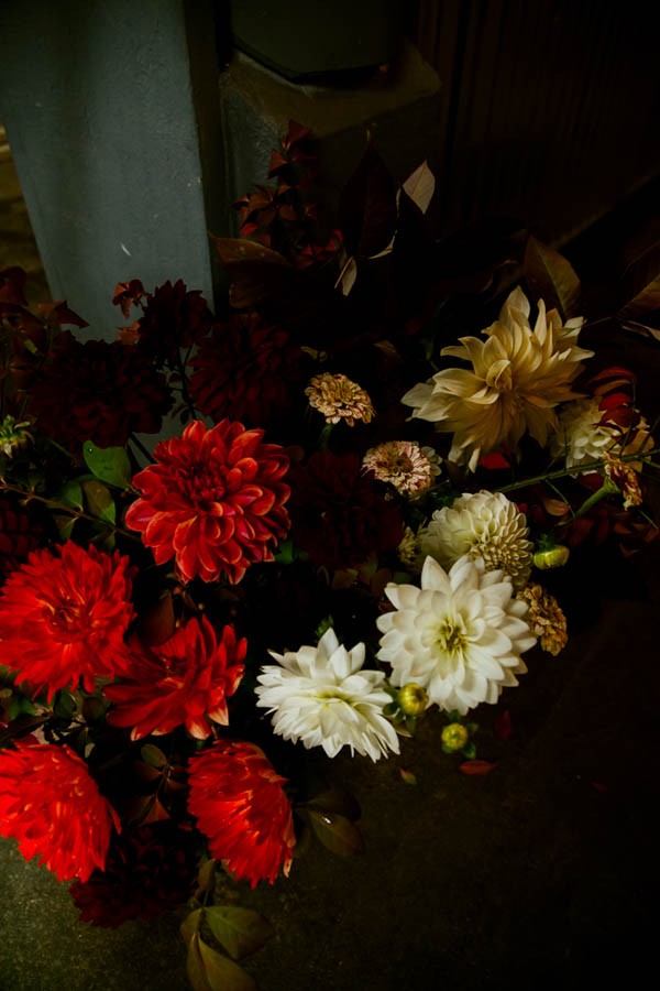 Bouquet of red and white flowers in a vase against a dark background