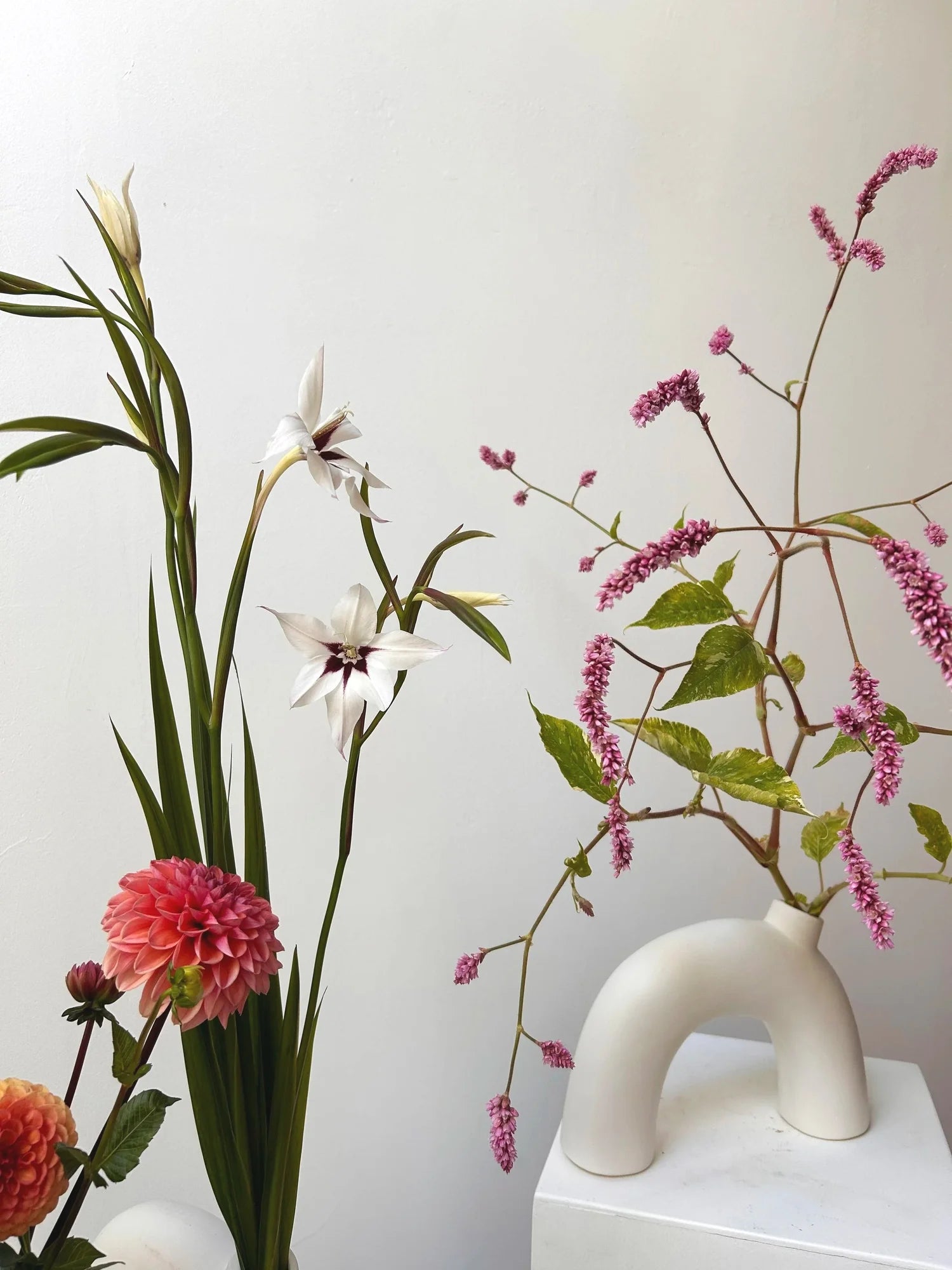 Floral arrangement with a white vase against a plain background