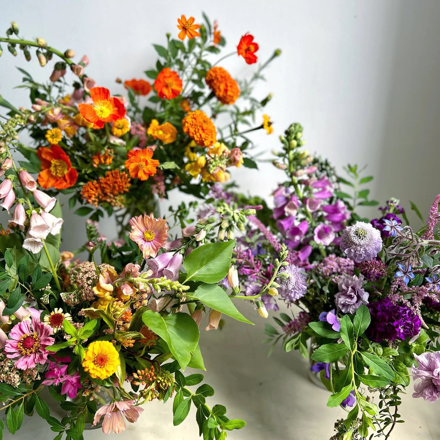 Colorful flower arrangement with a white background