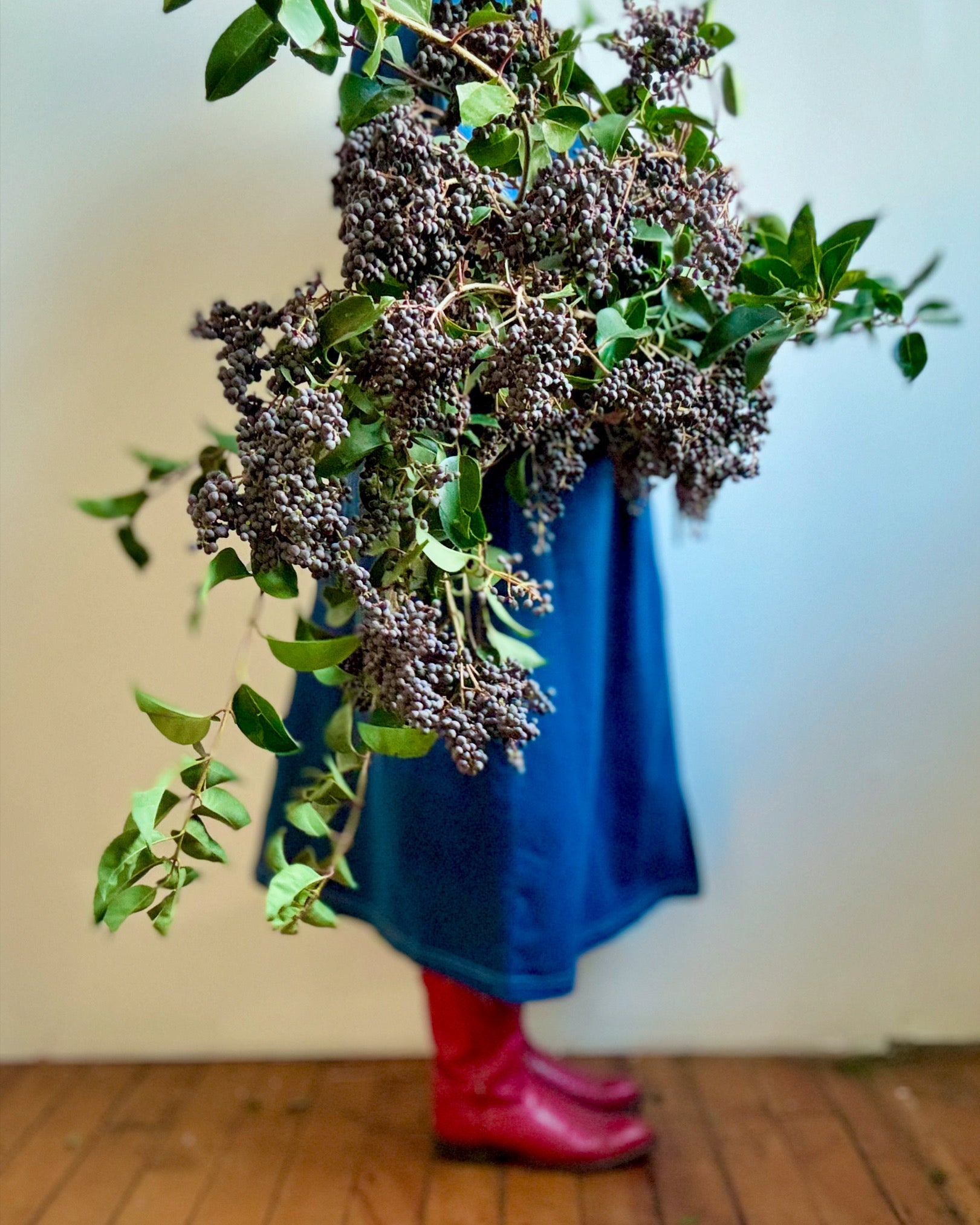 Person holding a large bundle of black berries and greenery against a plain background