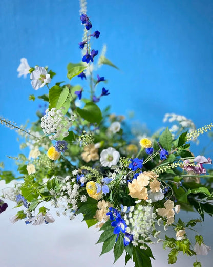 Colorful flower arrangement with blue, yellow, and white flowers against a blue sky.