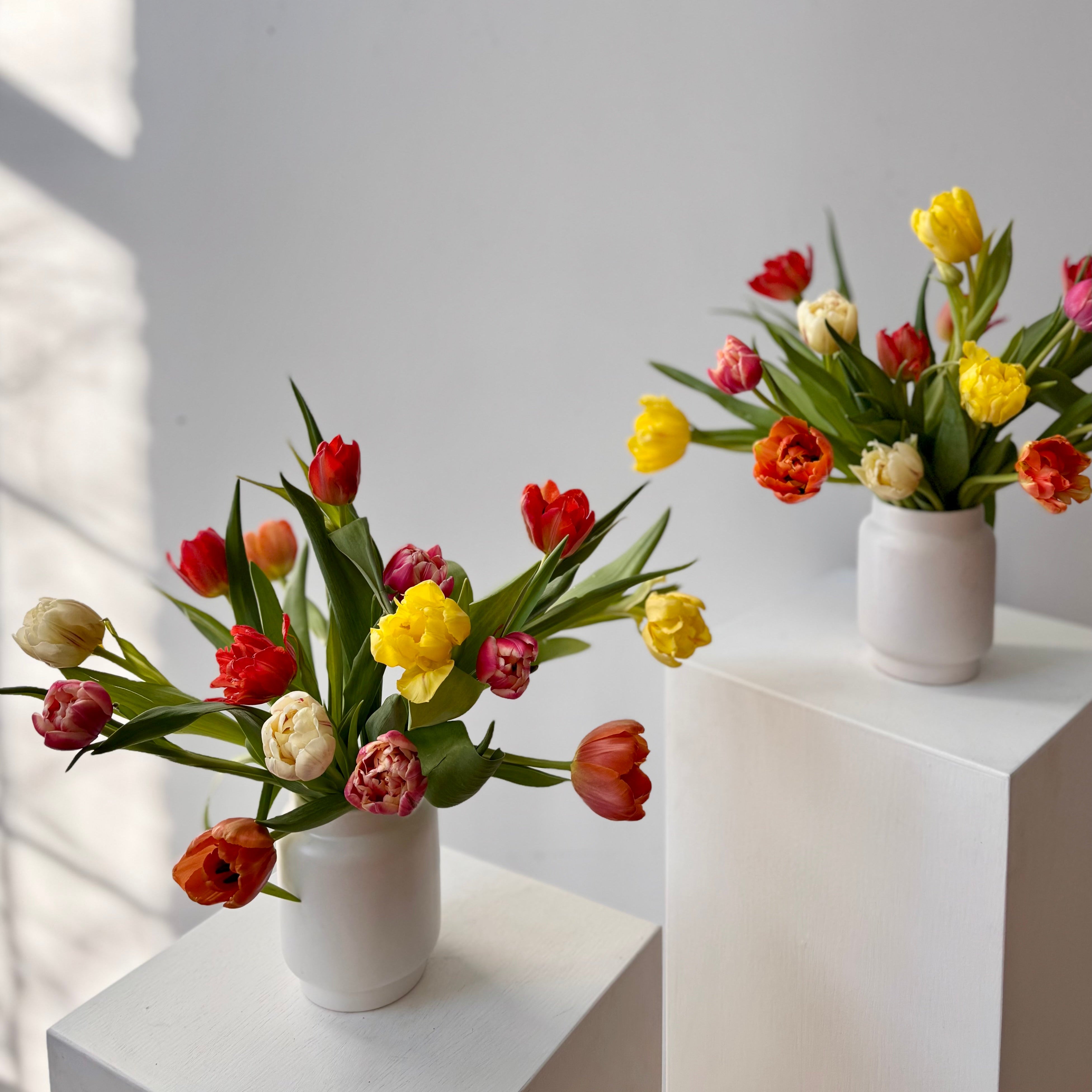 For flower delivery in Portlan Maine two small white vases with colorful tulips on a white surface.