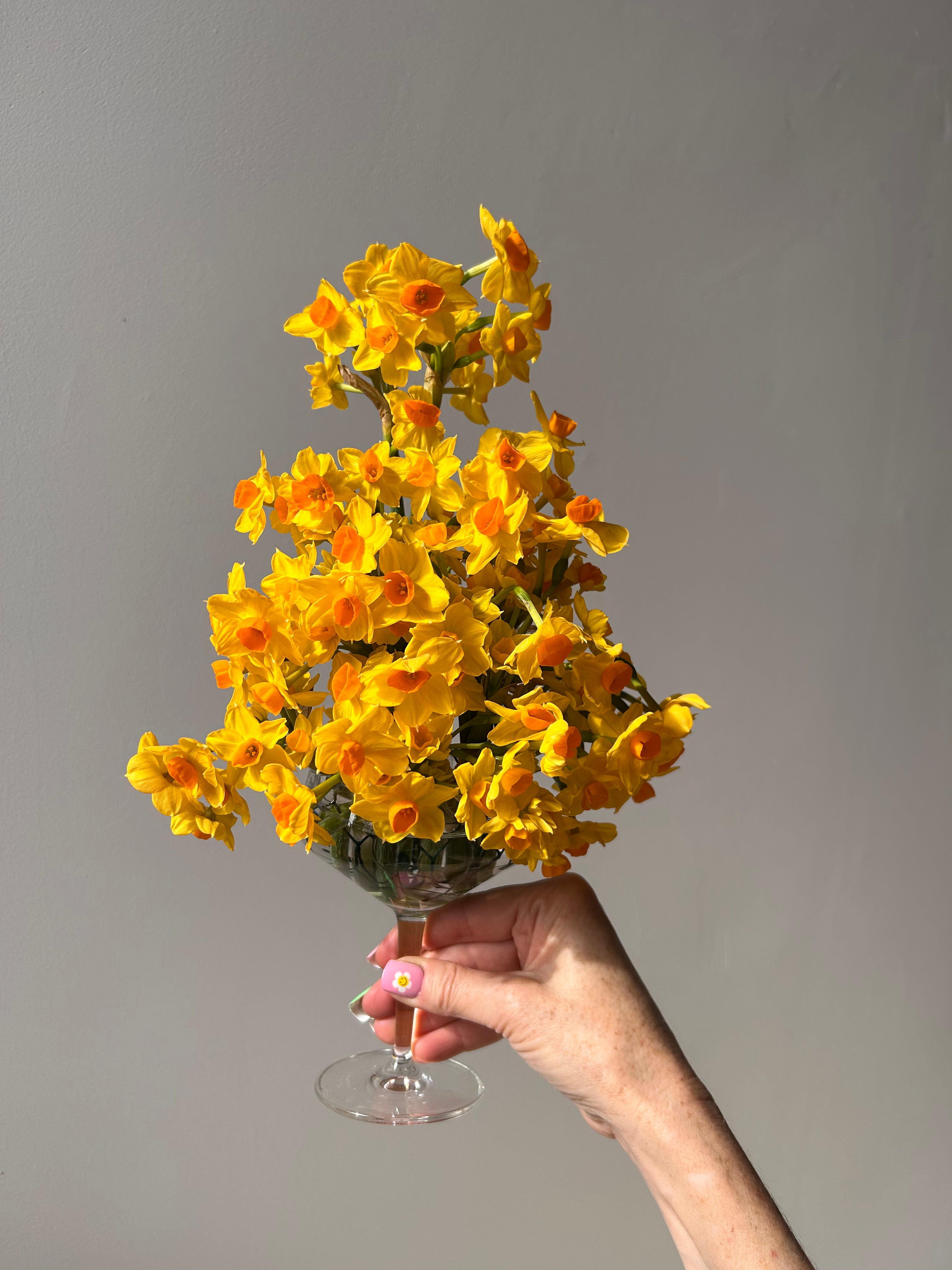 Hand holding a bouquet of yellow flowers with a glass against a gray background