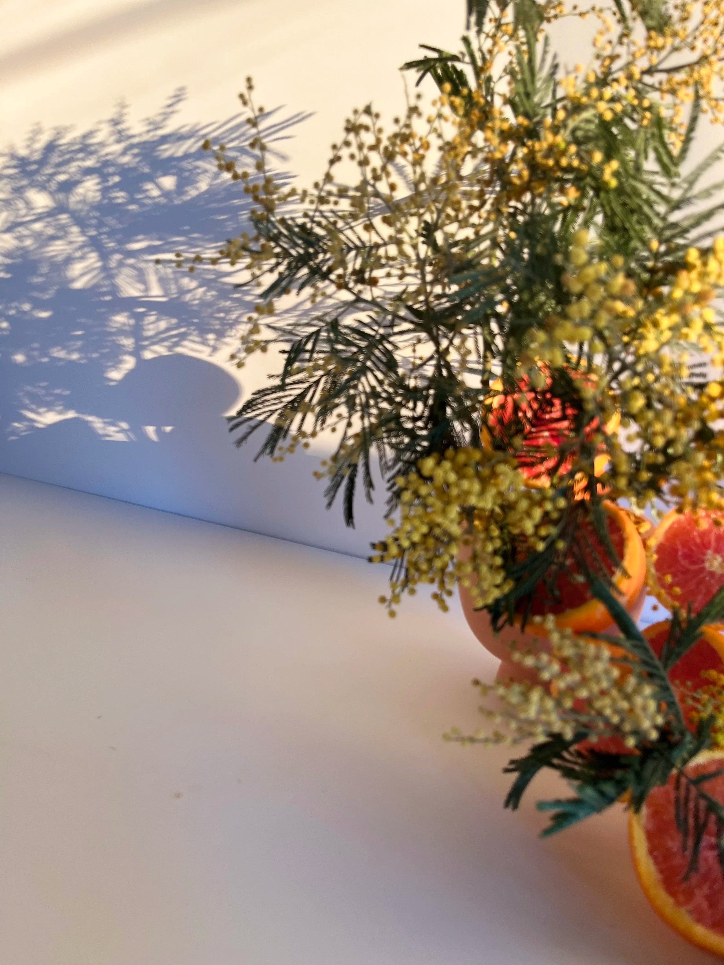 Decorative arrangement with greenery and oranges on a white surface