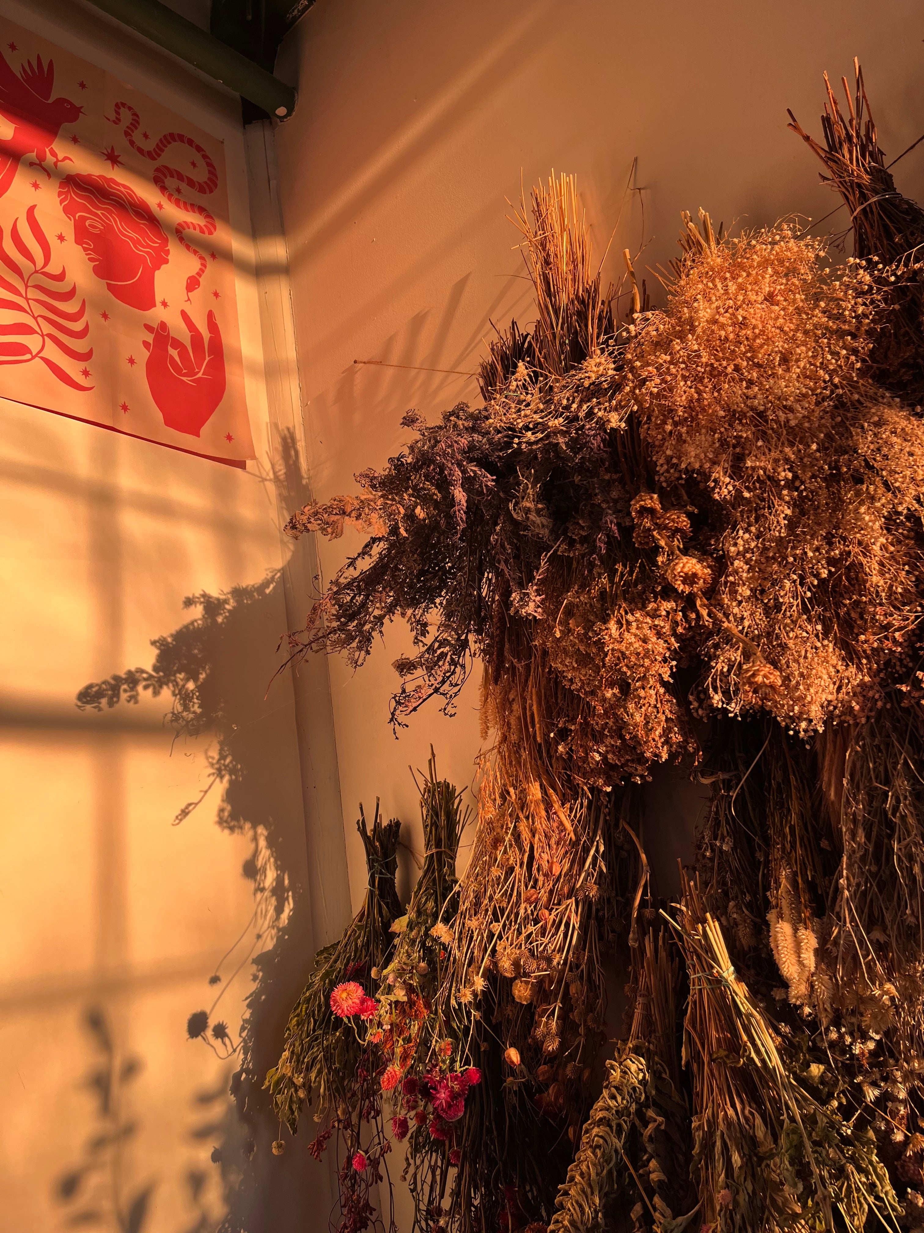 Bouquets of dried flowers hanging on a wall in a floral studio with posters on the wall.