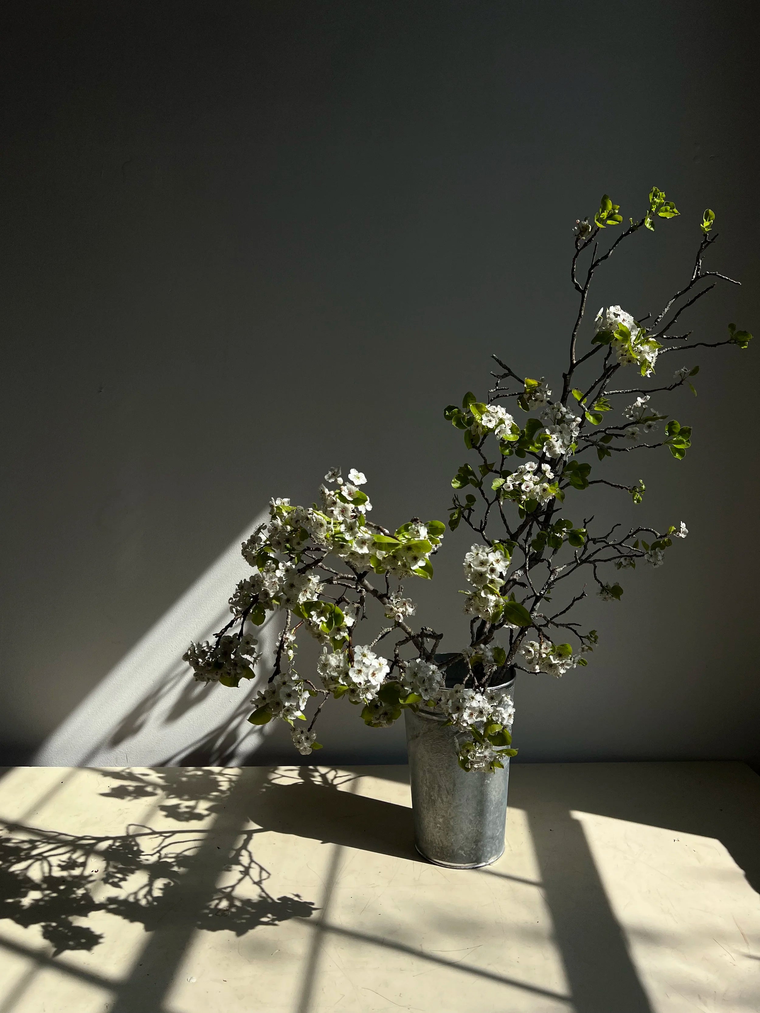 Vase with white flowers on a table with a dark background