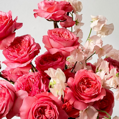 Two dozen roses with sweet peas for valentines dayin portland maine