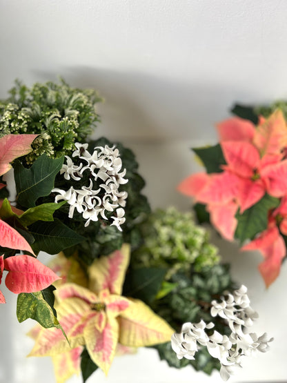 Holiday Planter with Flowering Plants