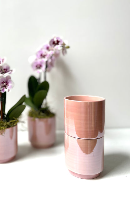 Orchid · Glossy Ceramic Pot · Portland, Maine Delivery