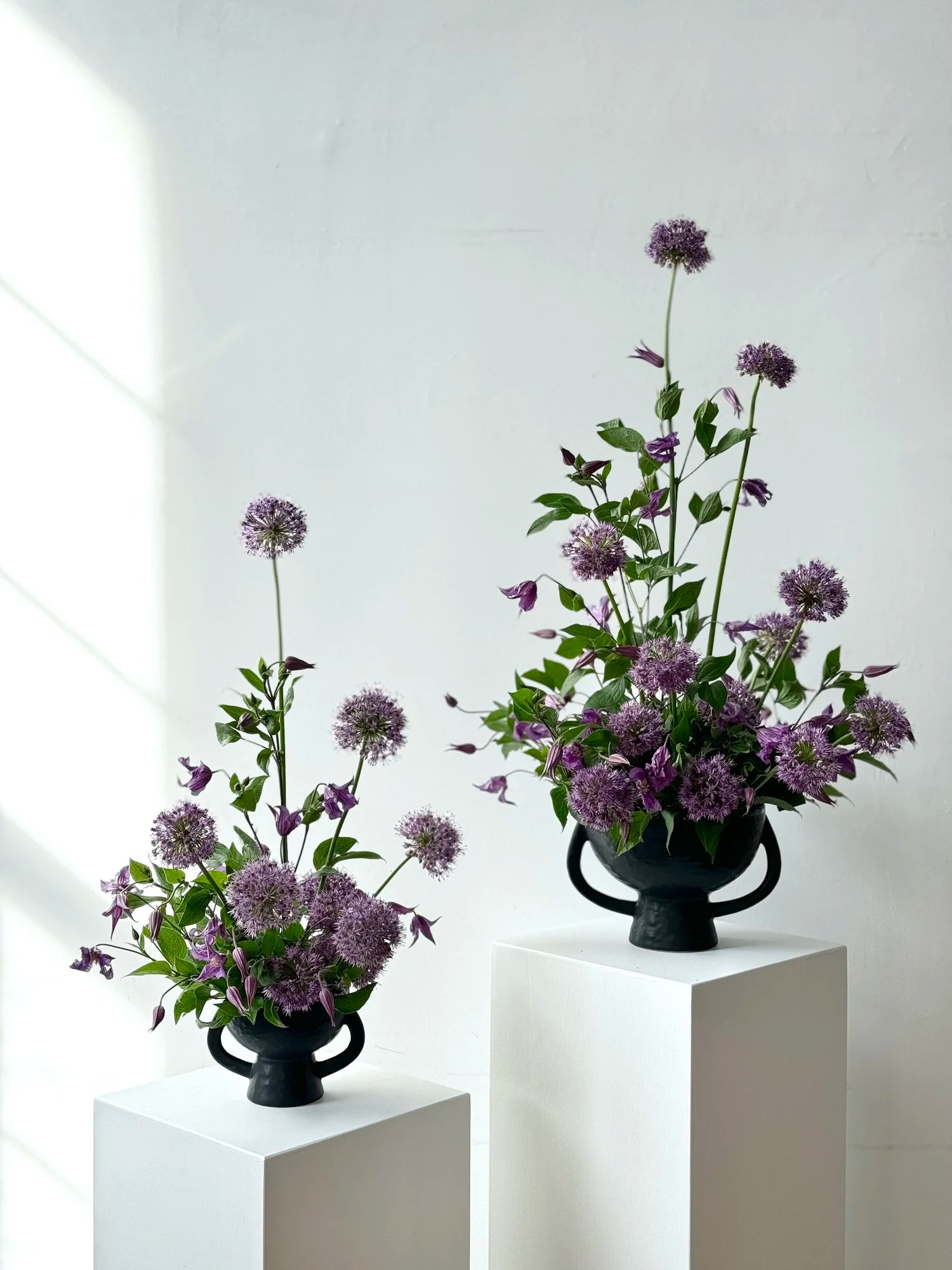 Two black vases with purple flowers on white pedestals against a white background