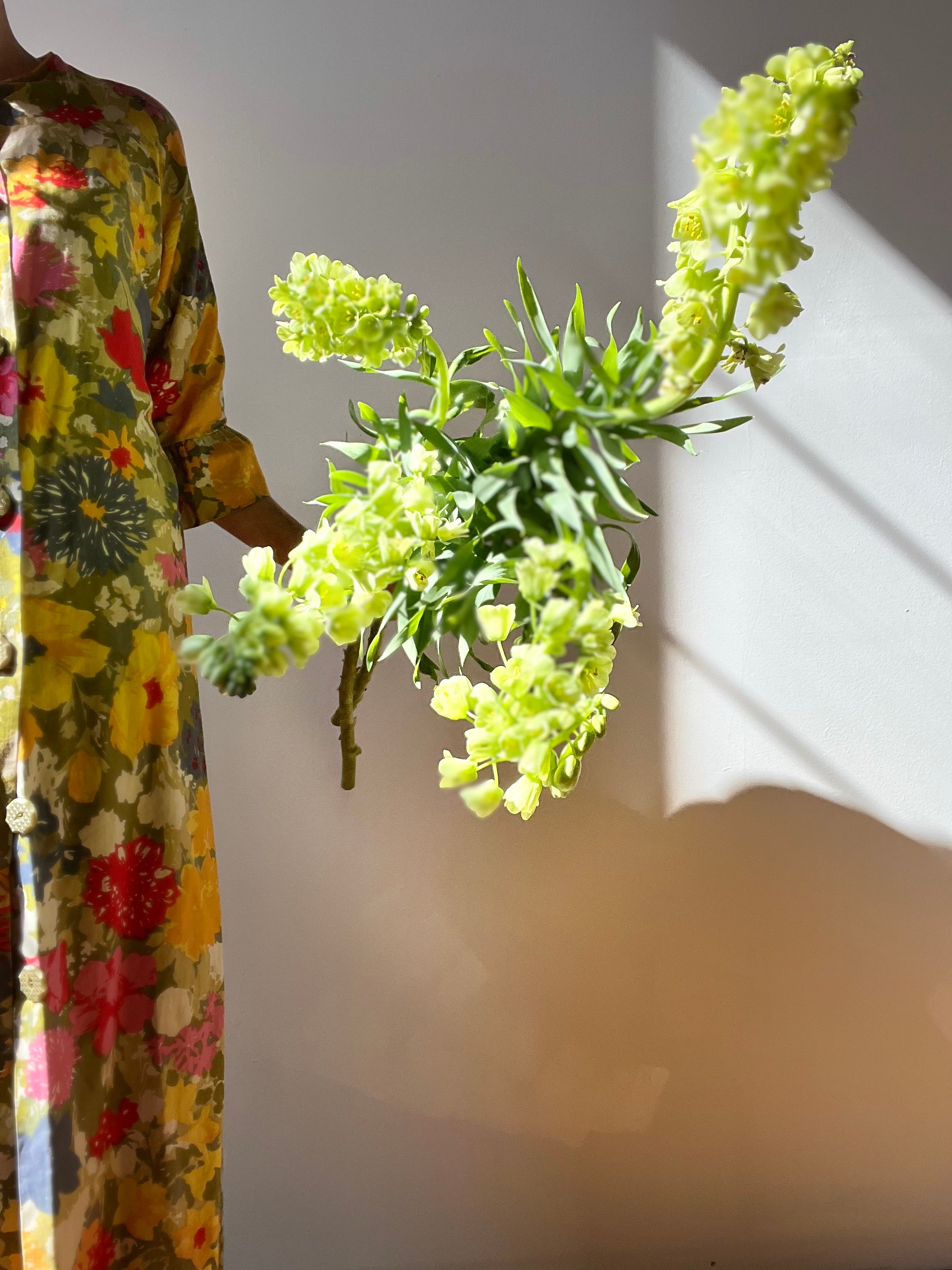 Person wearing a colorful floral dress holding a green plant against a neutral background