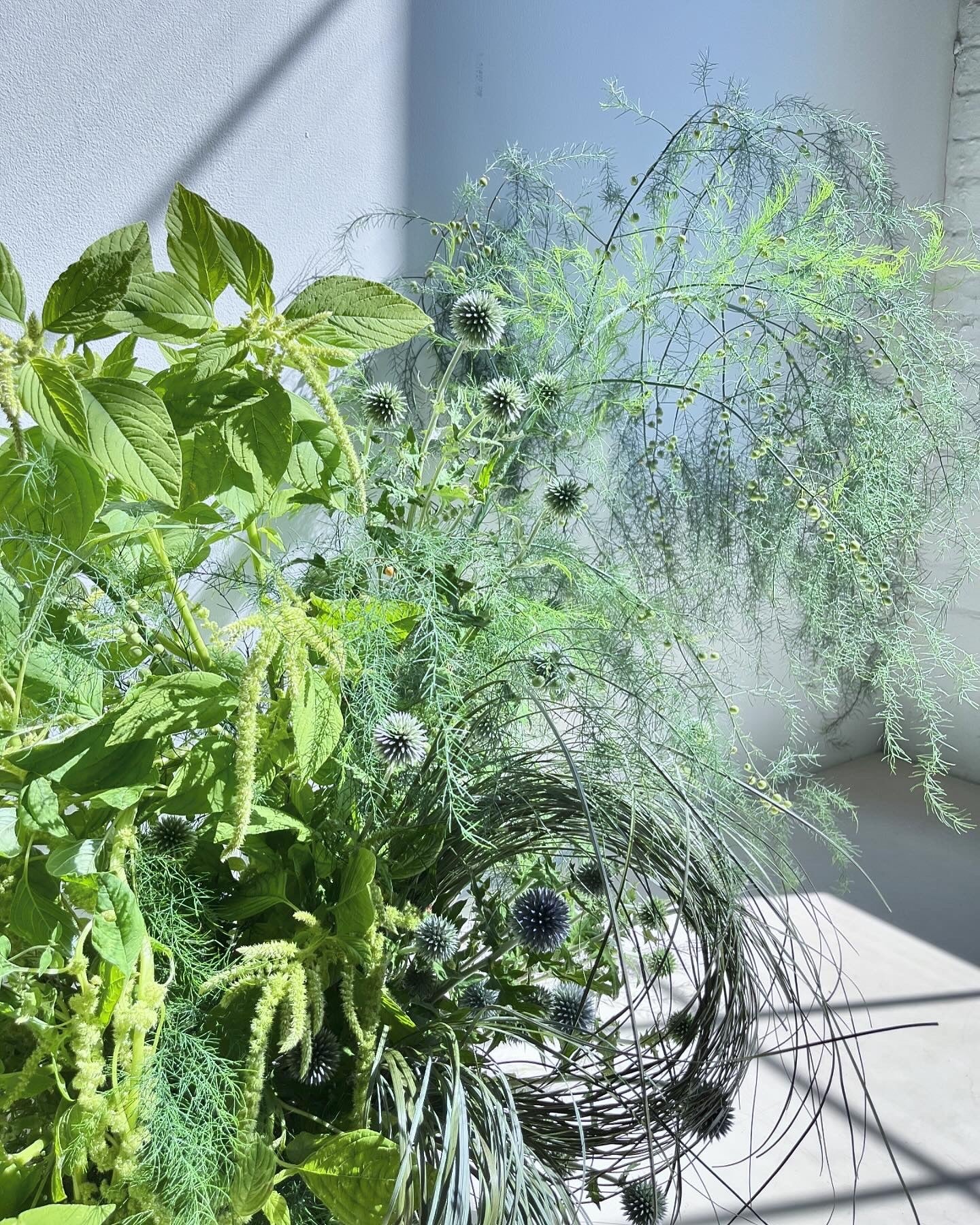 Bouquet of green plants and flowers on a light background