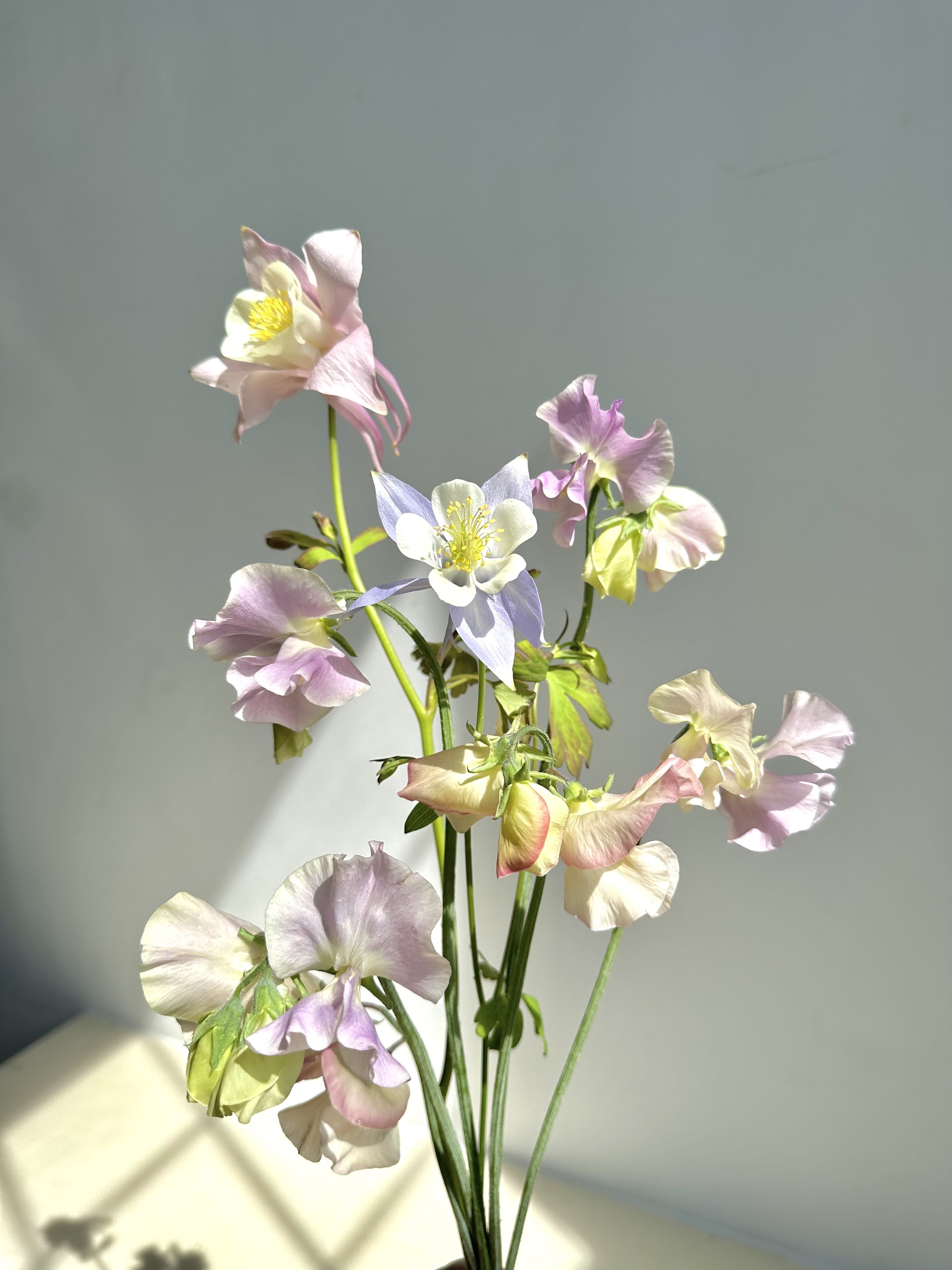 Bouquet of pink and white flowers on a gray background