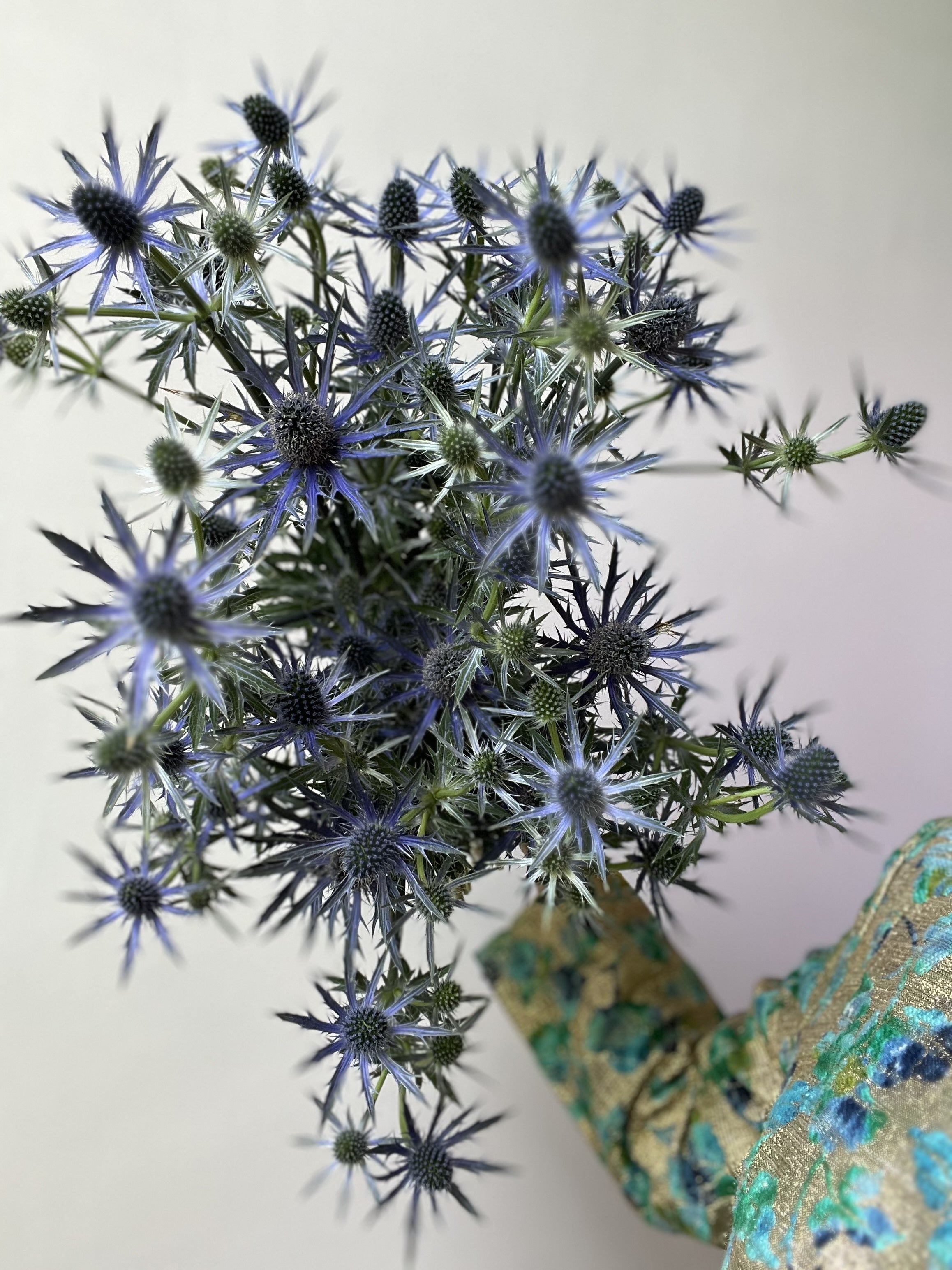 Bouquet of blue thistle flowers with a colorful fabric background