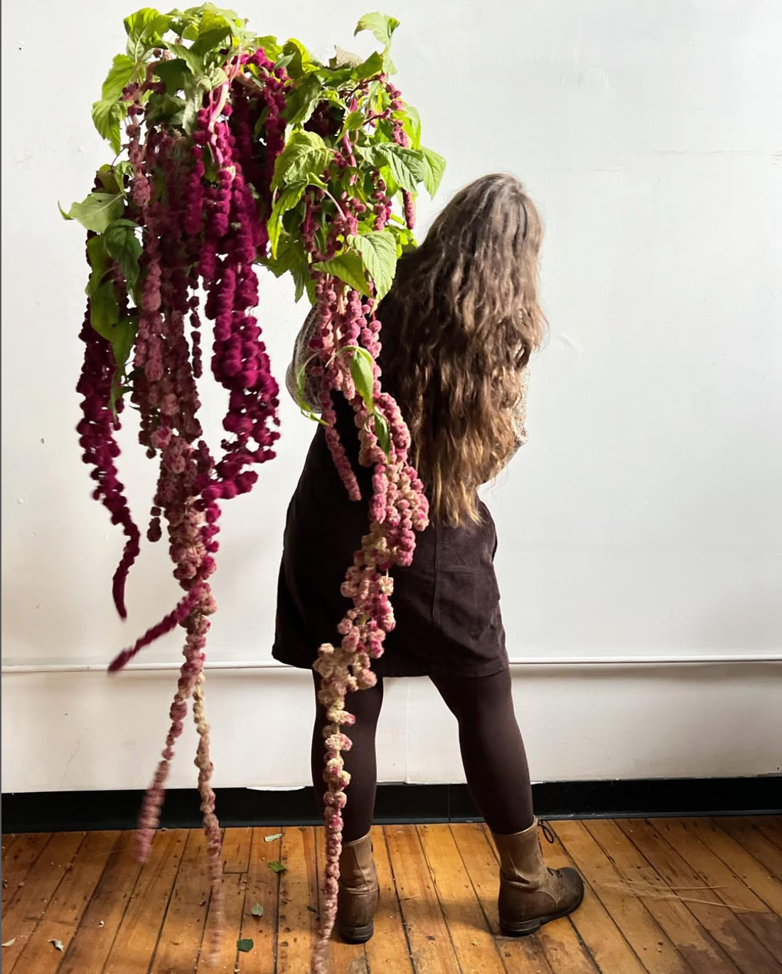Person holding a large plant with long, hanging purple flowers against a white wall.