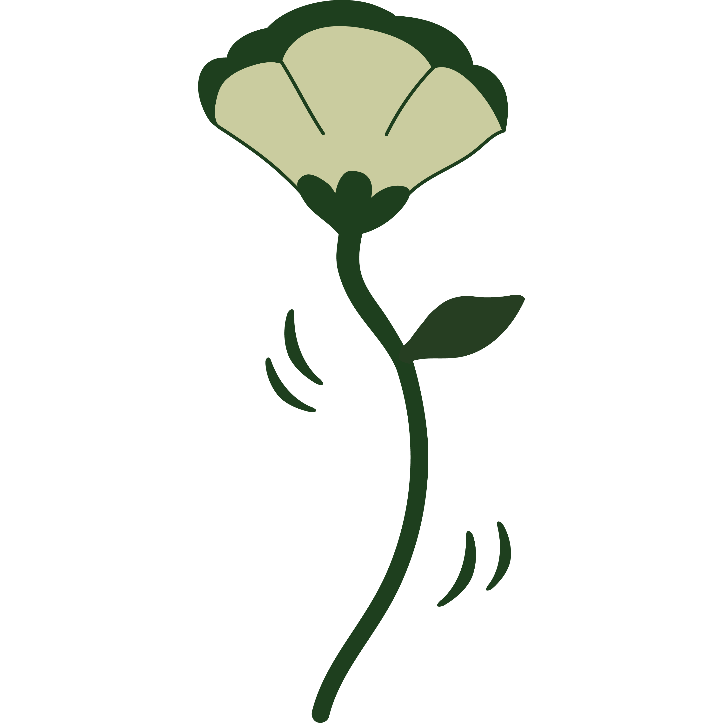 <strong>Delivery Info</strong>