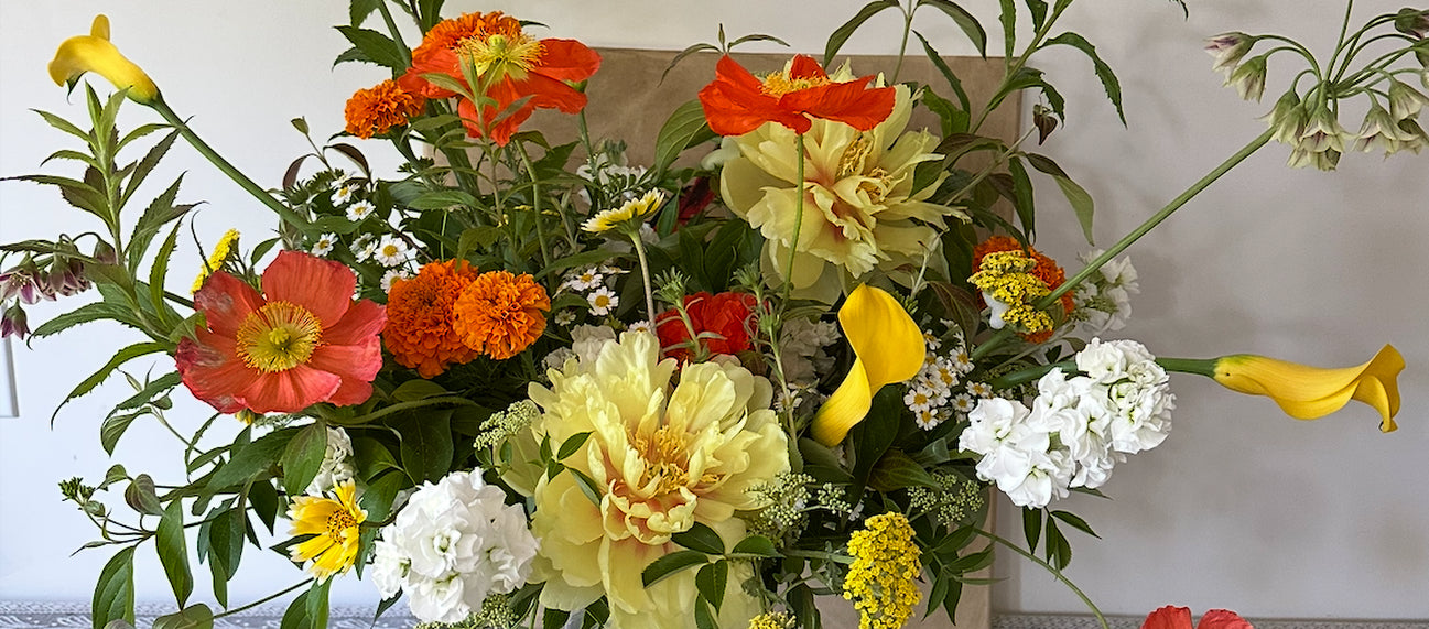 Colorful bouquet of flowers with a neutral background